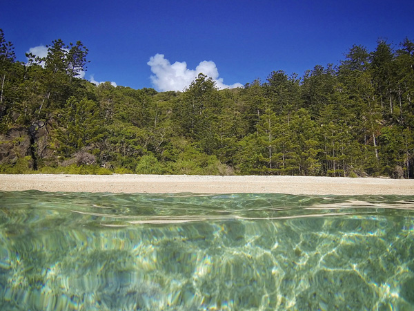 Prestine-Beachs-Whitsunday-Paradise-Explorer Prestine-Beachs-Whitsunday-Paradise-Explorer